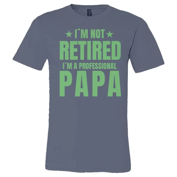 im-not-retired-im-a-professional-papa-bella-canvas-unisex-jersey-tee-3001-2