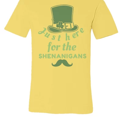 just-here-for-the-shenanigans-bella-canvas-unisex-jersey-tee-3001-2