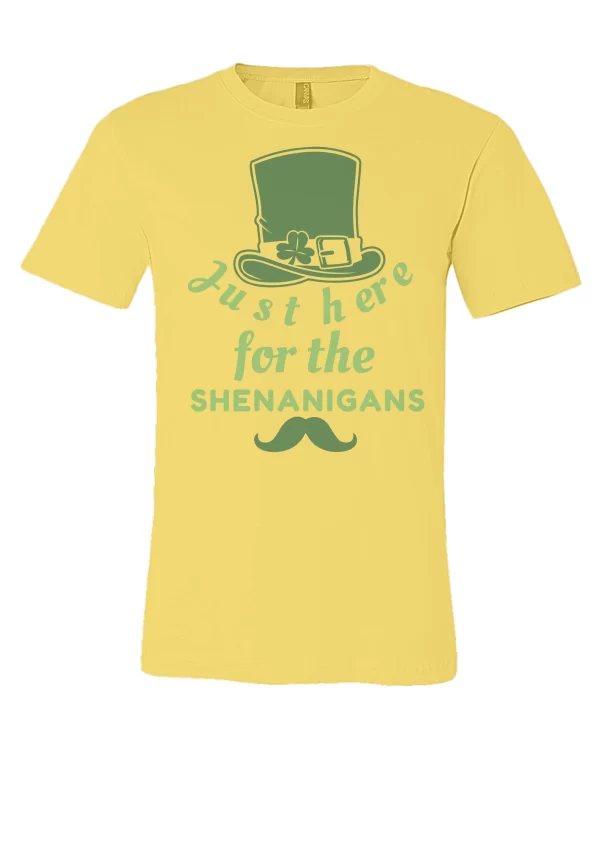 just-here-for-the-shenanigans-bella-canvas-unisex-jersey-tee-3001-2